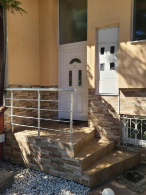 Olga's House